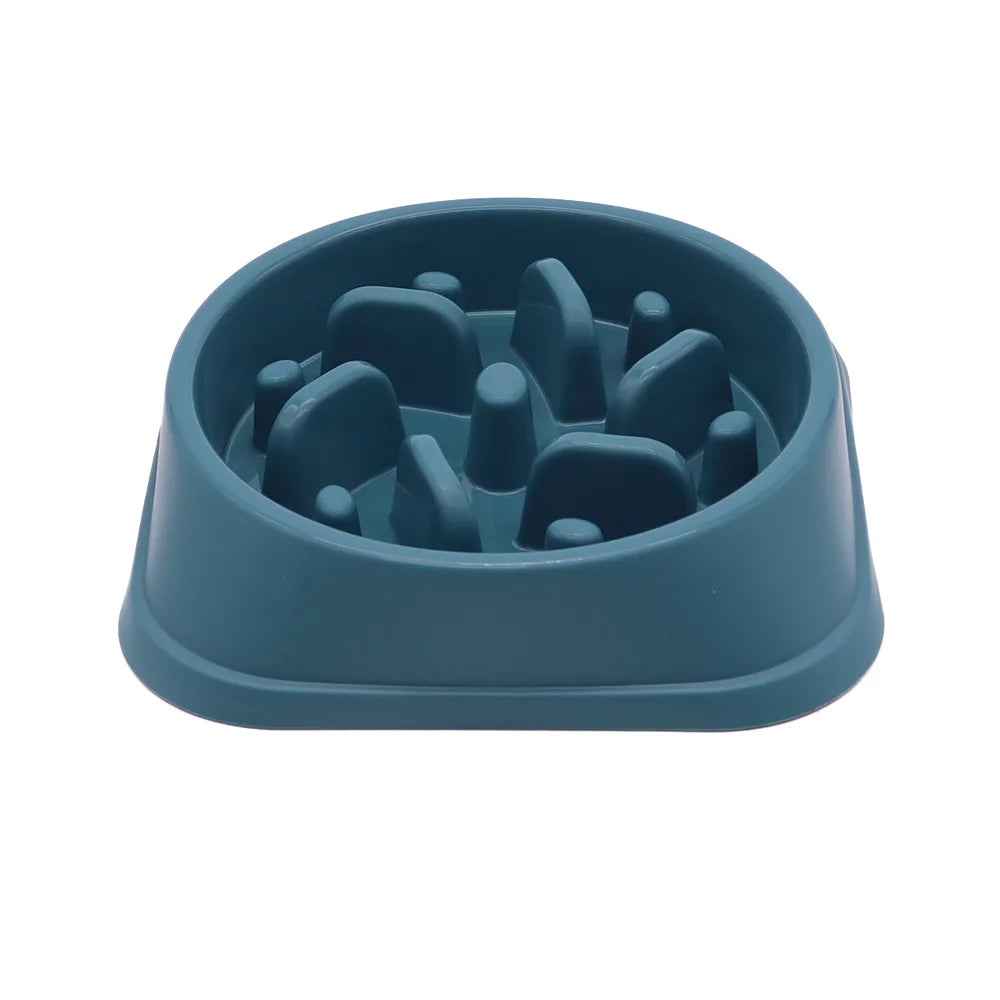 Anti-Gulp Slow Feeder Bowl