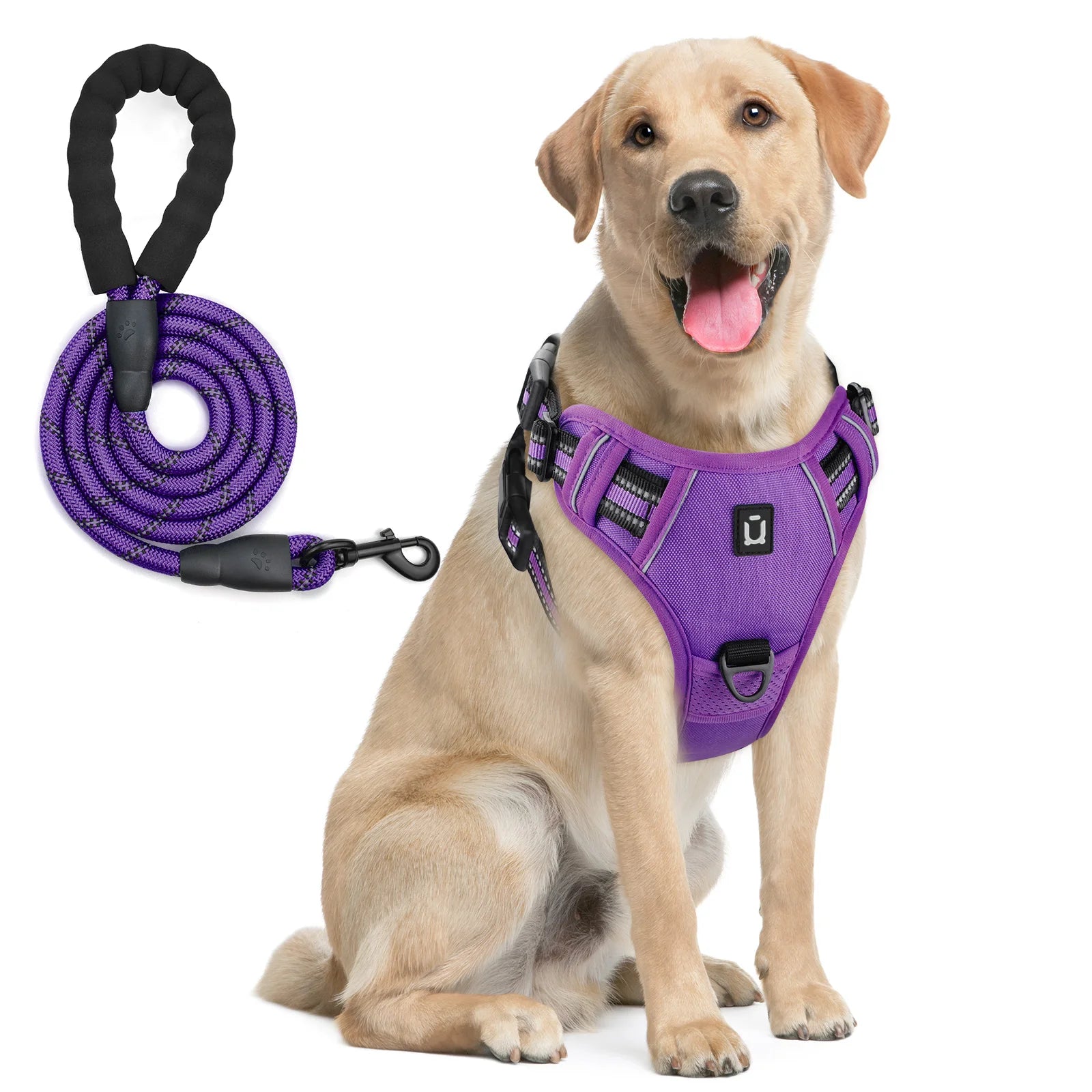 No-Pull Dog Harness & Leash Set