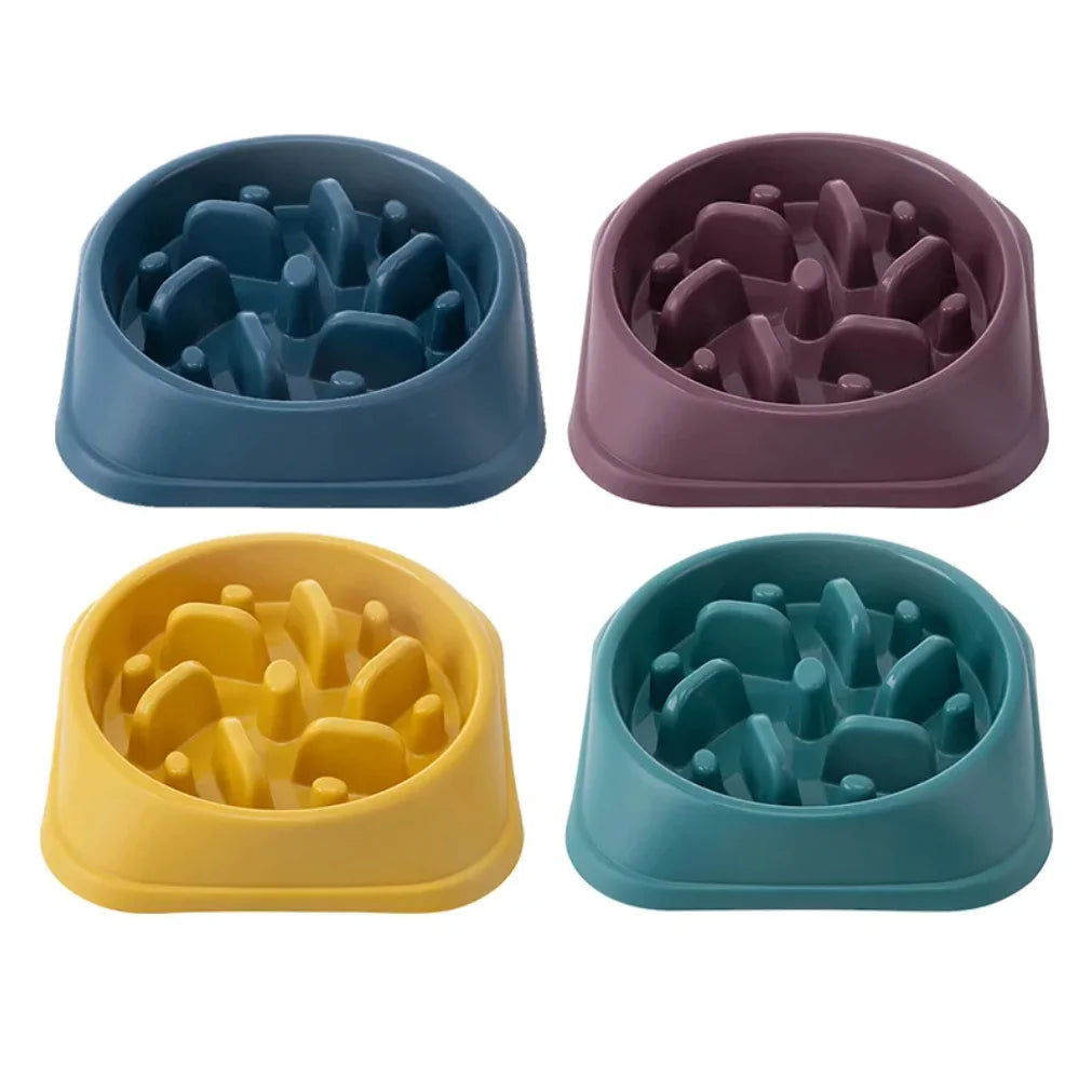 Anti-Gulp Slow Feeder Bowl