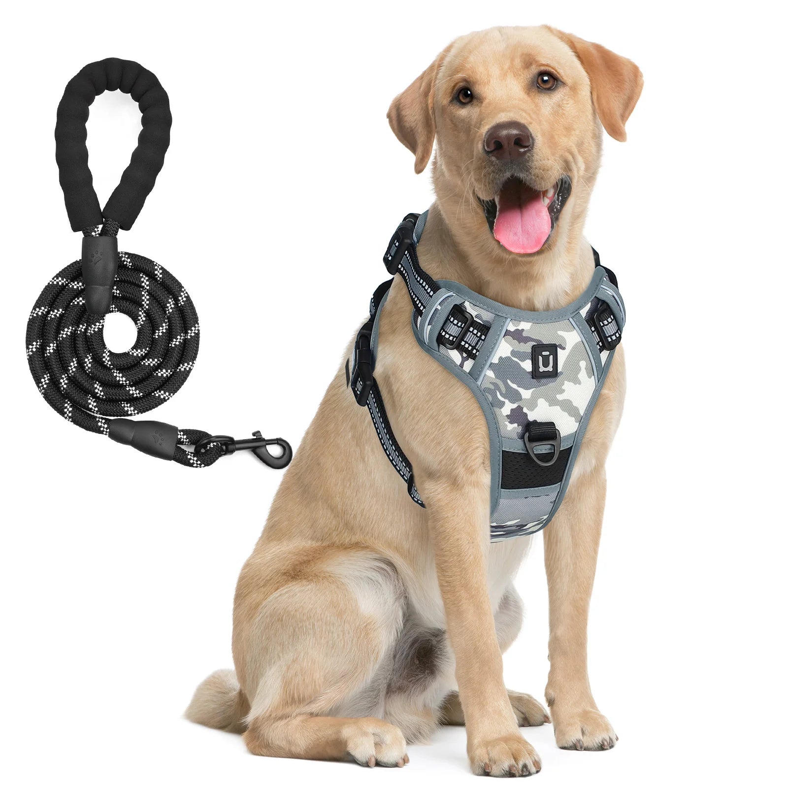 No-Pull Dog Harness & Leash Set