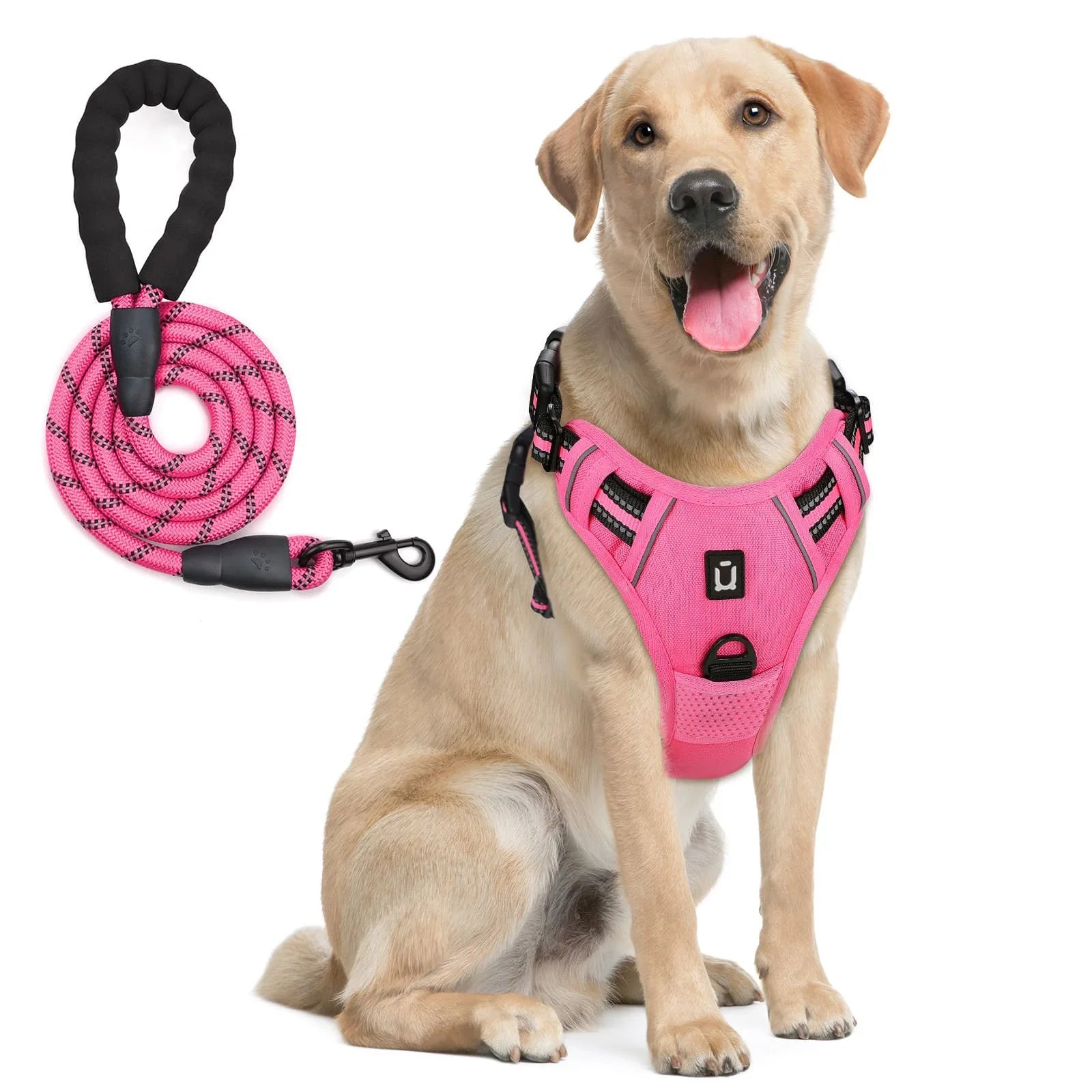 No-Pull Dog Harness & Leash Set