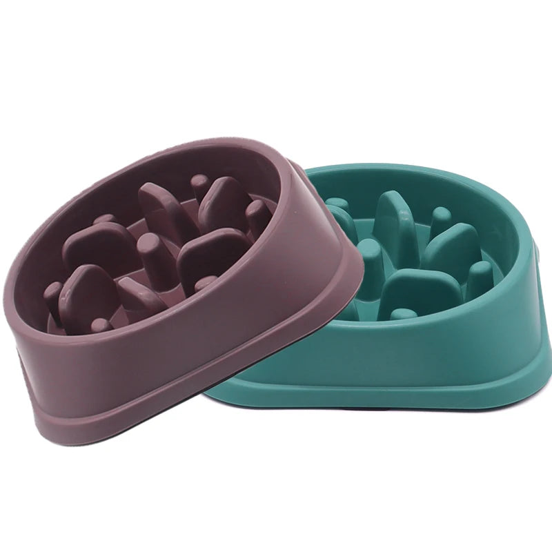 Anti-Gulp Slow Feeder Bowl