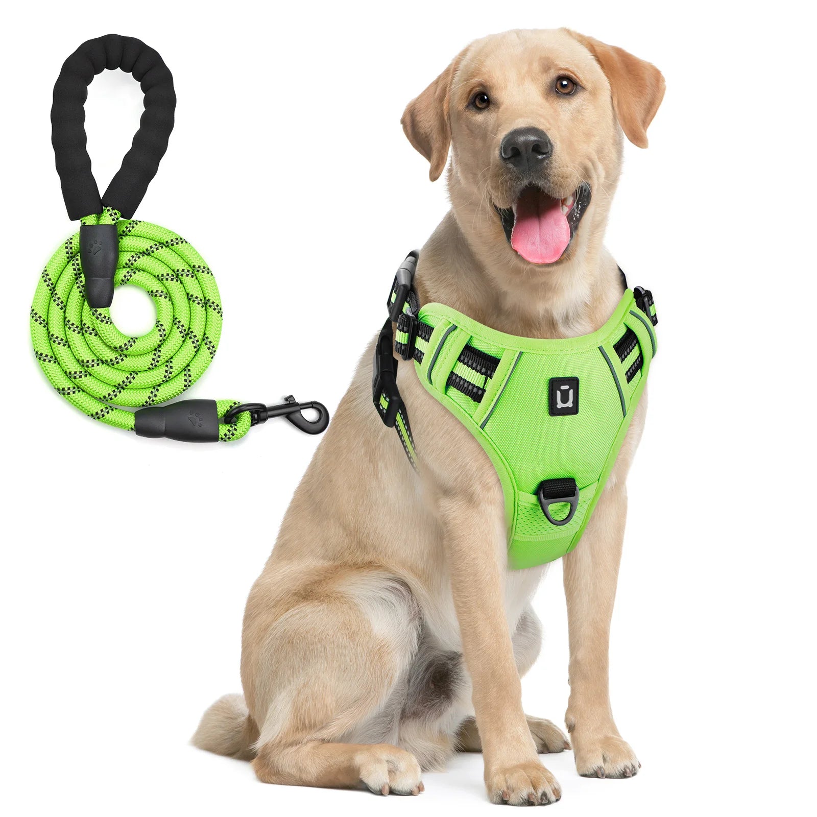 No-Pull Dog Harness & Leash Set