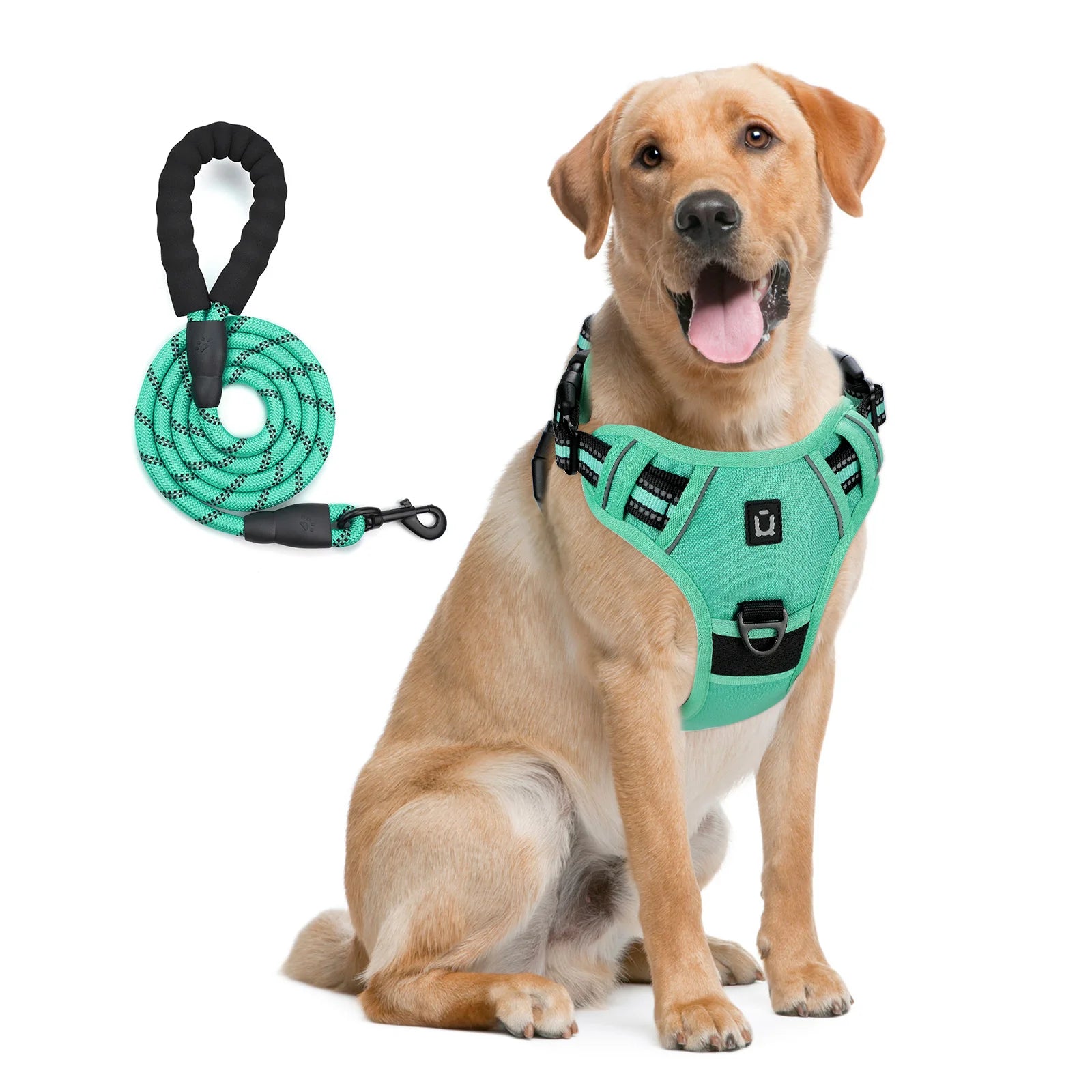 No-Pull Dog Harness & Leash Set