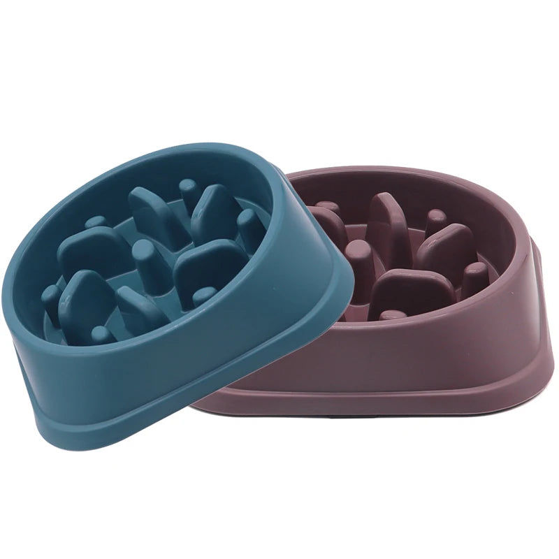 Anti-Gulp Slow Feeder Bowl