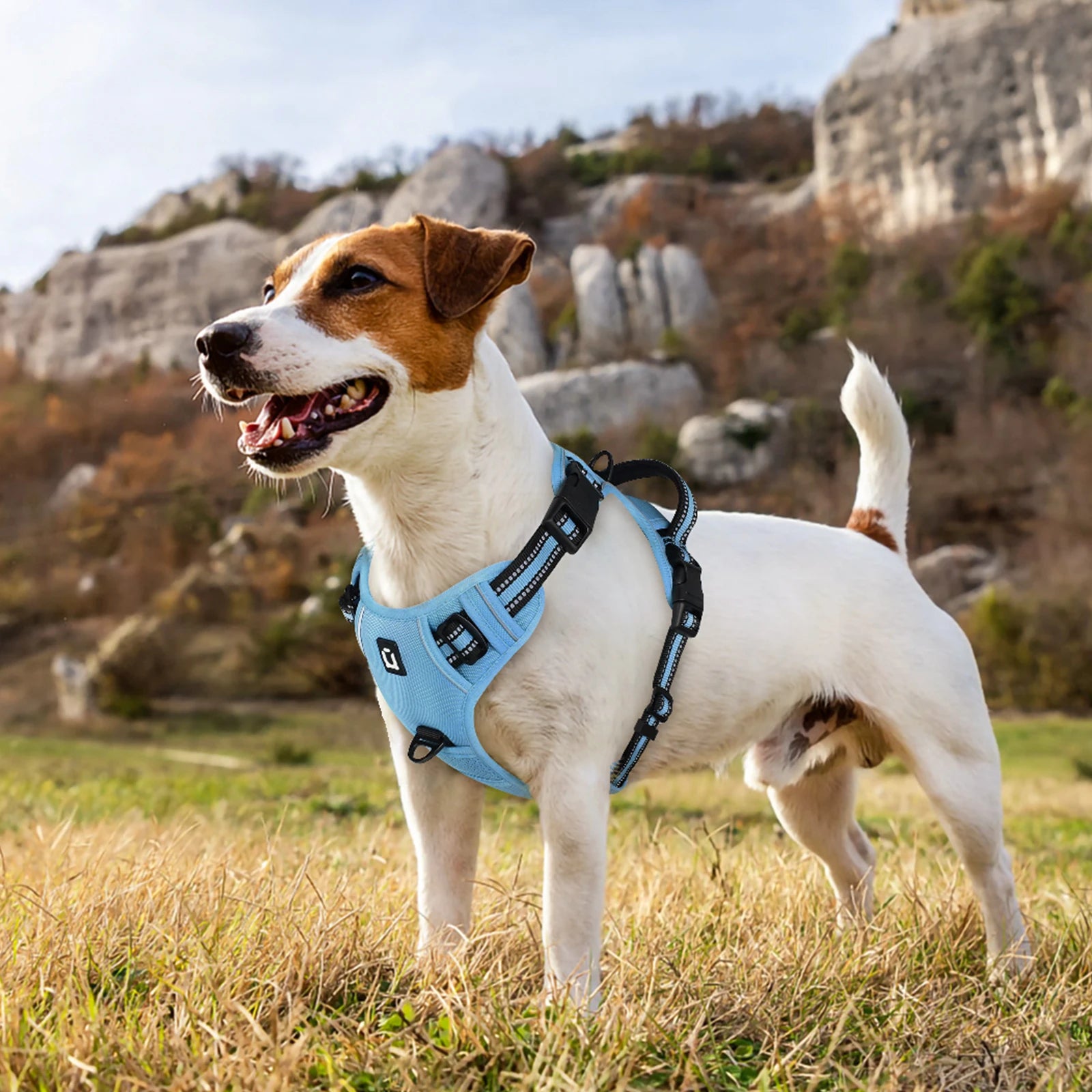 No-Pull Dog Harness & Leash Set