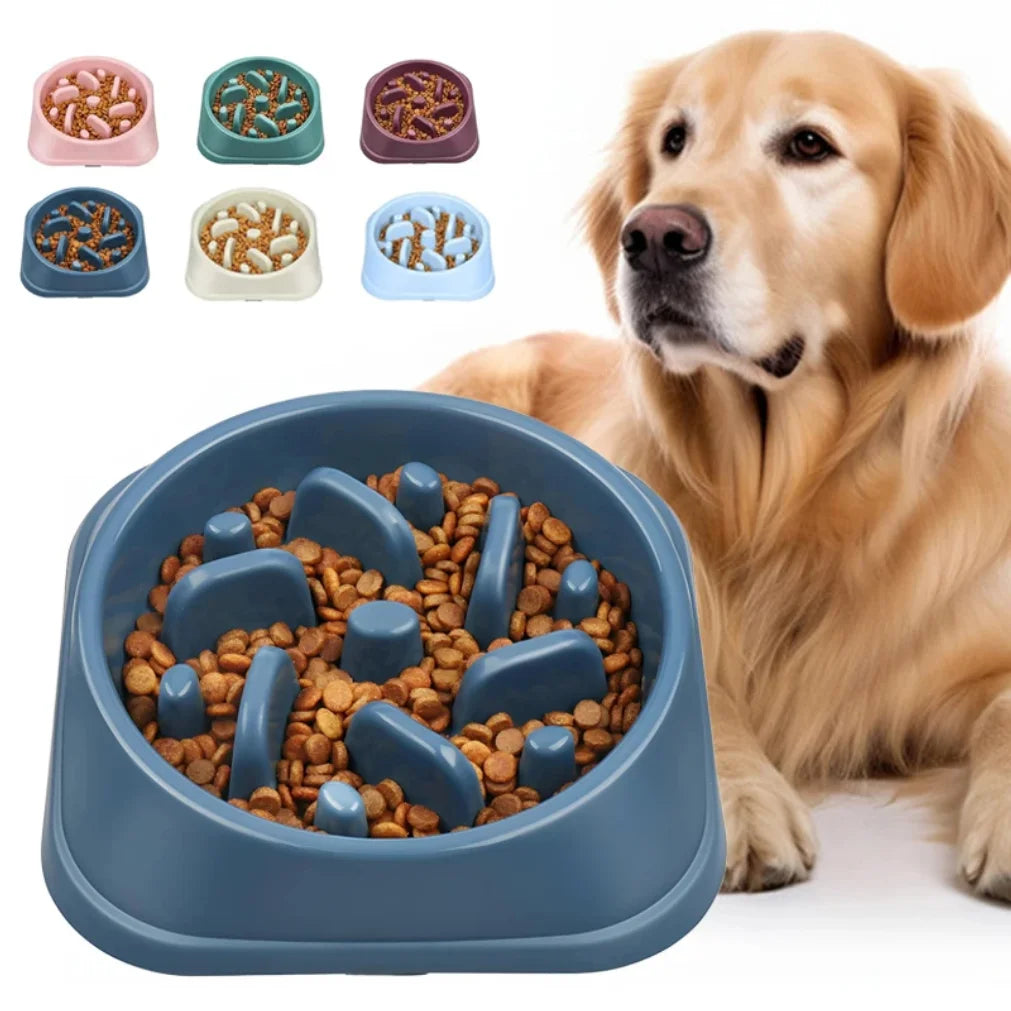 Anti-Gulp Slow Feeder Bowl