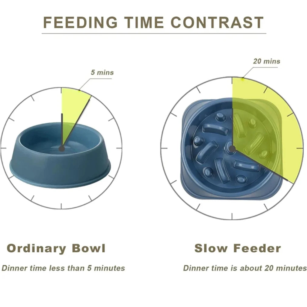 Anti-Gulp Slow Feeder Bowl