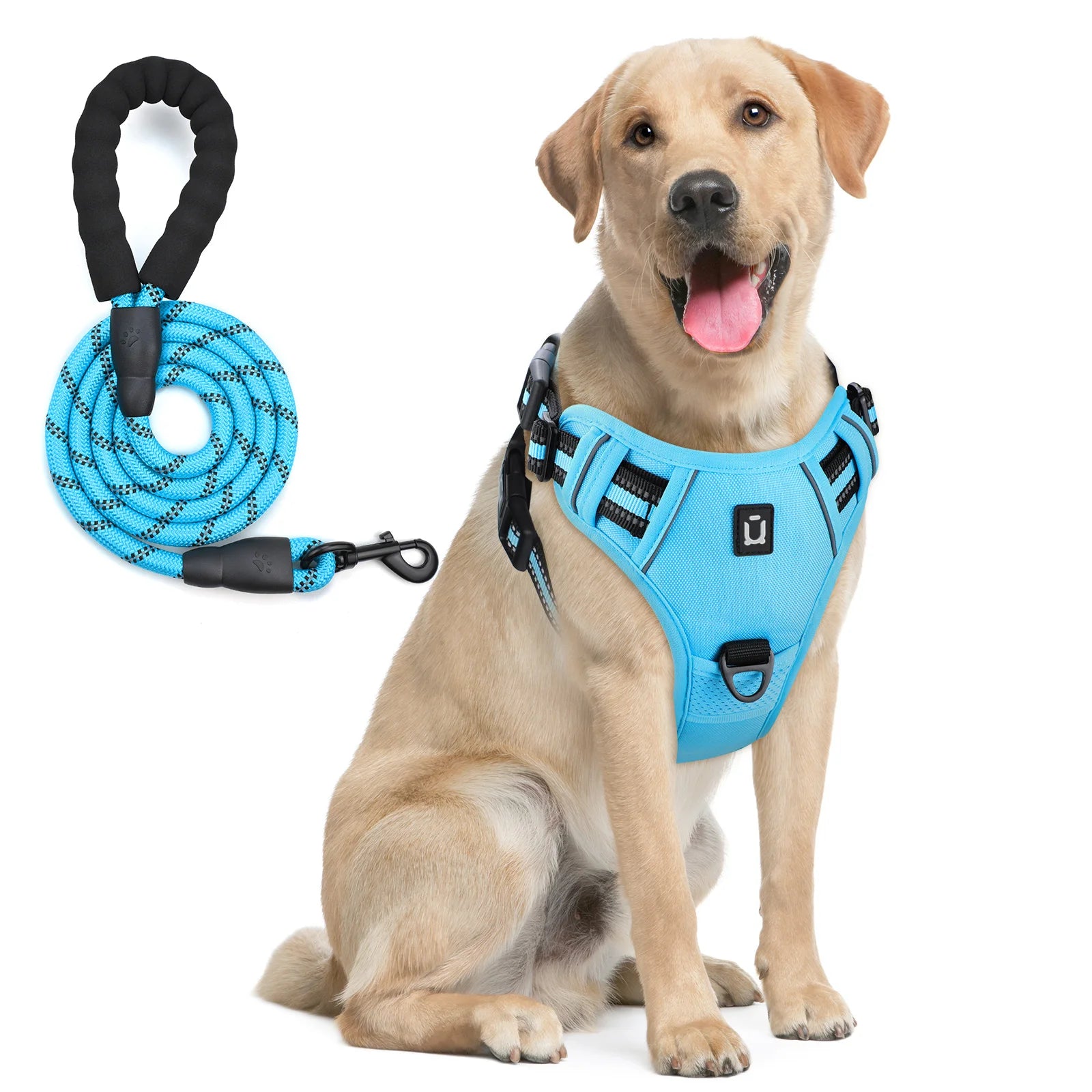 No-Pull Dog Harness & Leash Set