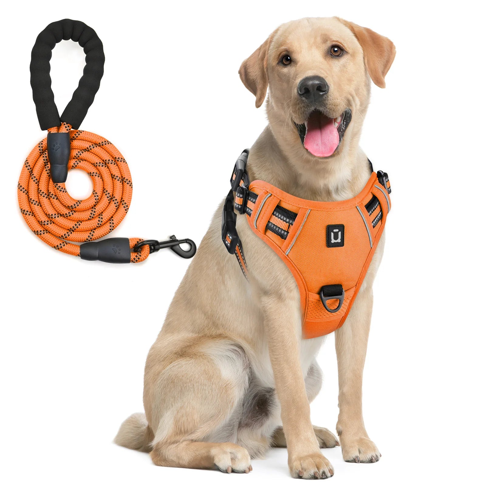 No-Pull Dog Harness & Leash Set