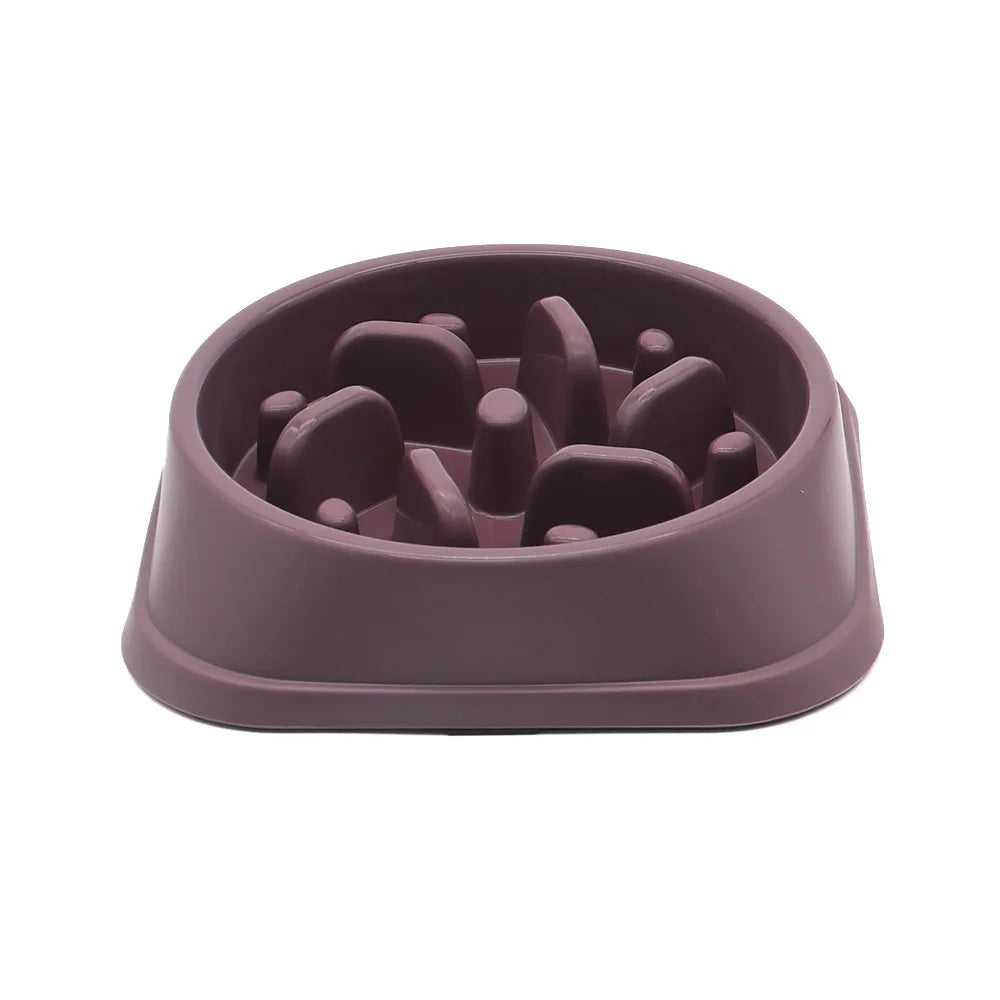 Anti-Gulp Slow Feeder Bowl