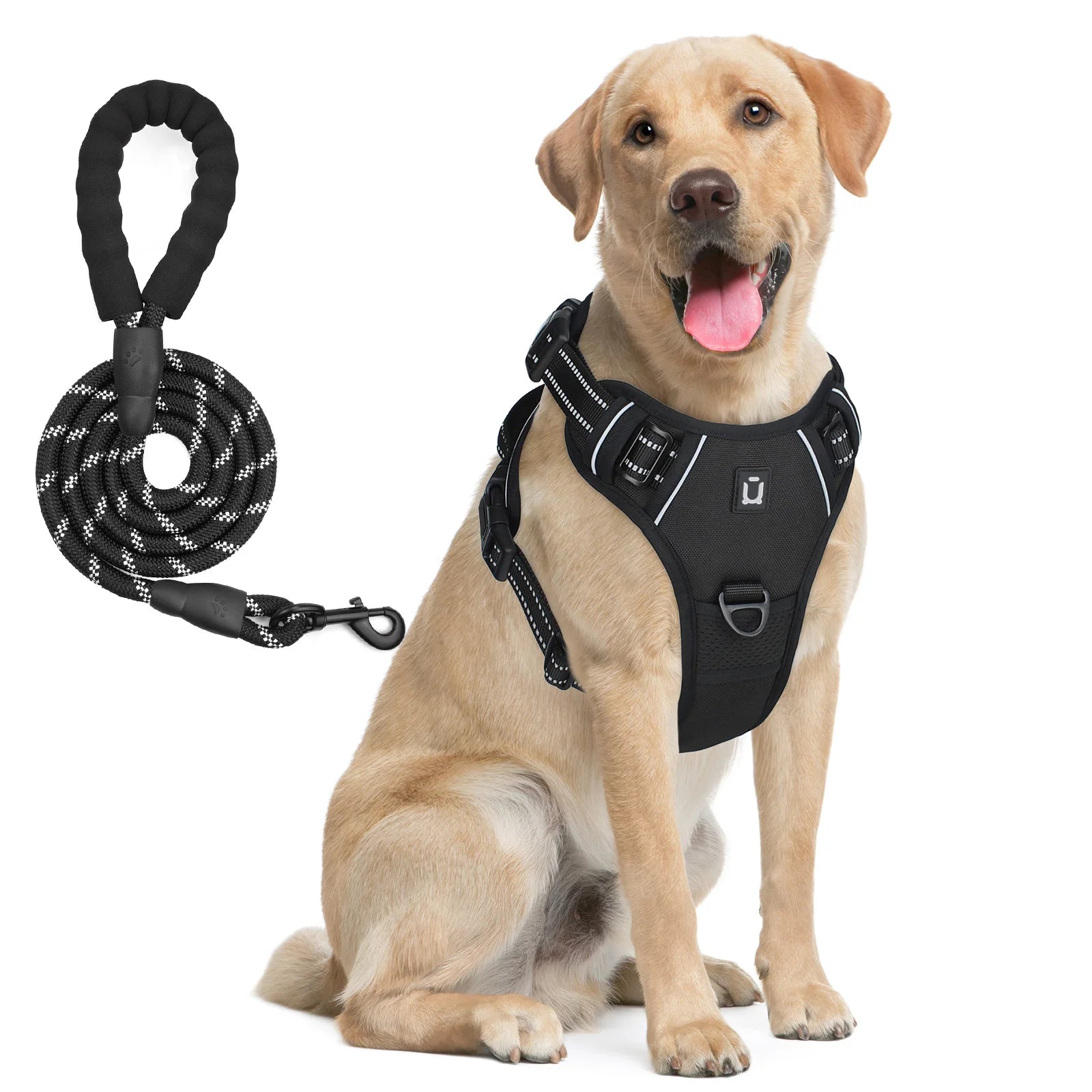 No-Pull Dog Harness & Leash Set