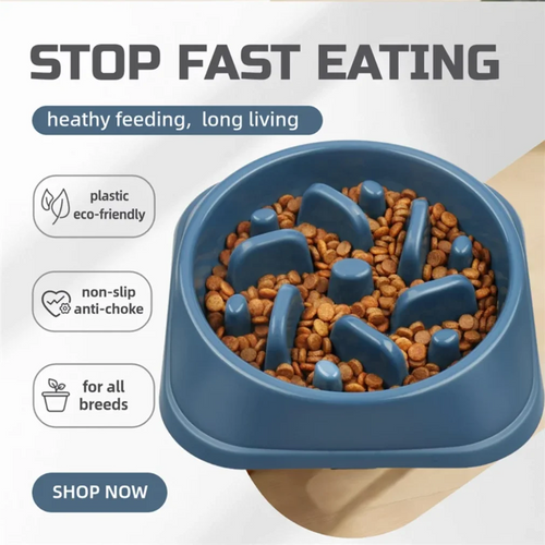 Anti-Gulp Slow Feeder Bowl